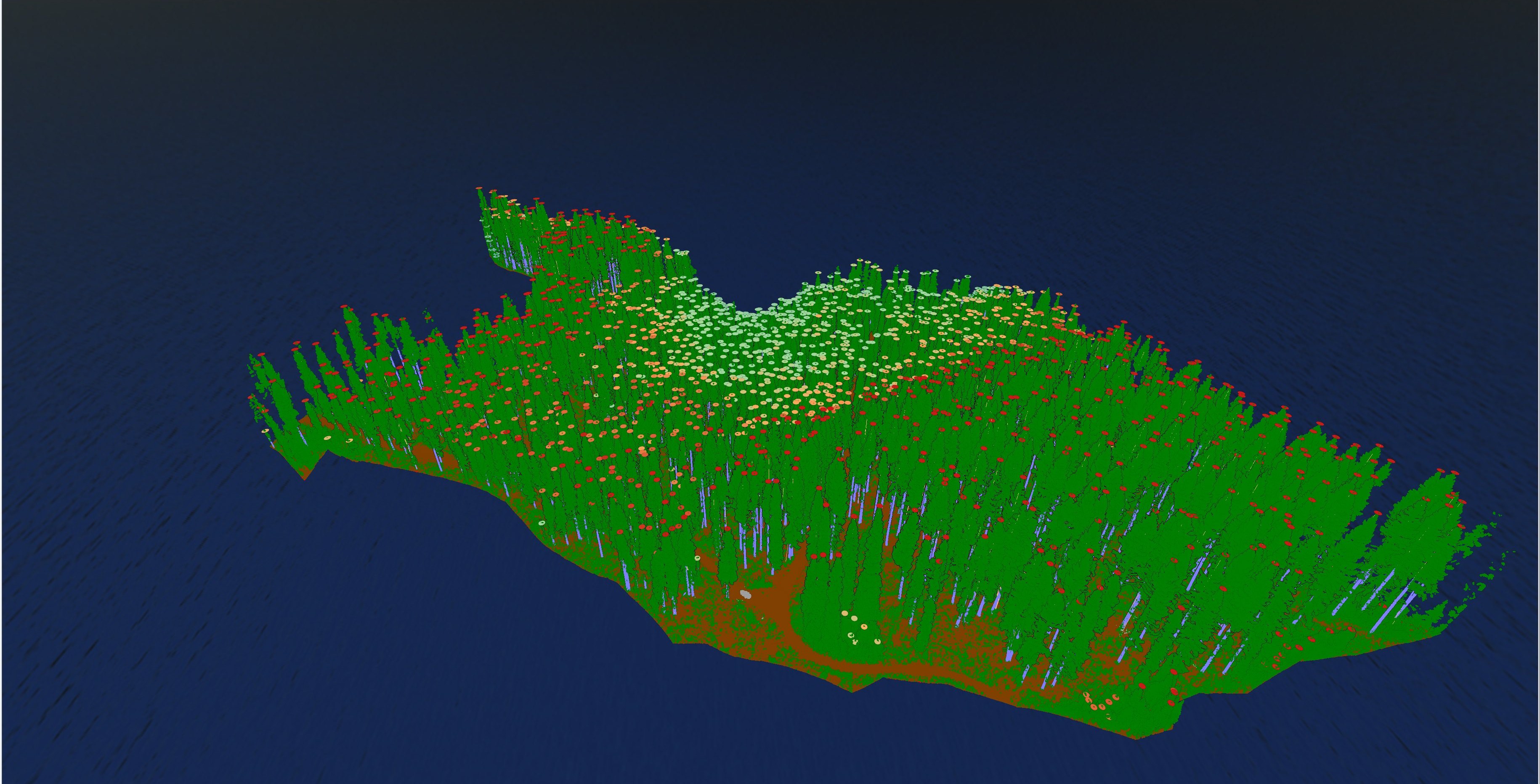 Per-tree canopy heights as cylinders