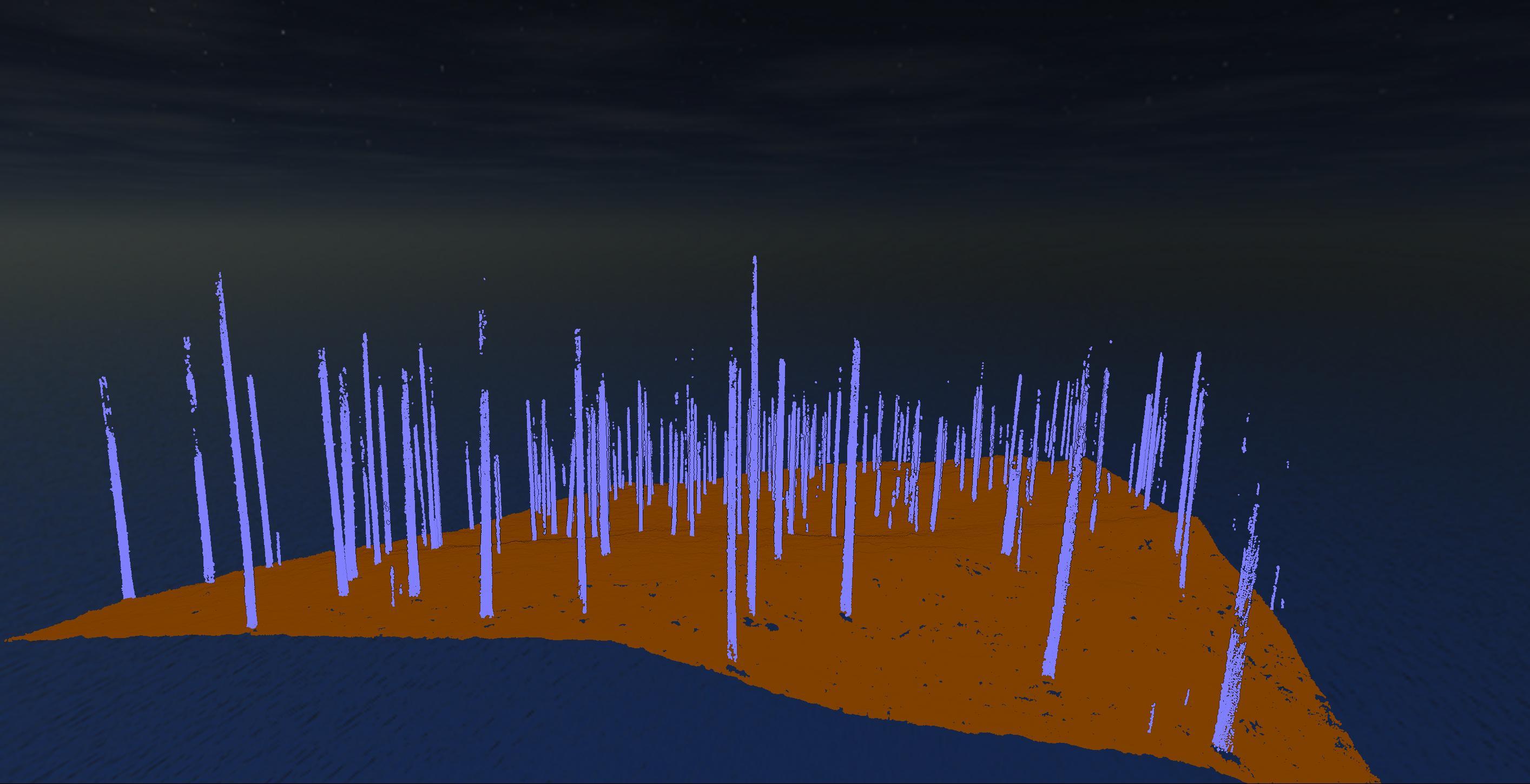 Stems isolated from foliage in point cloud