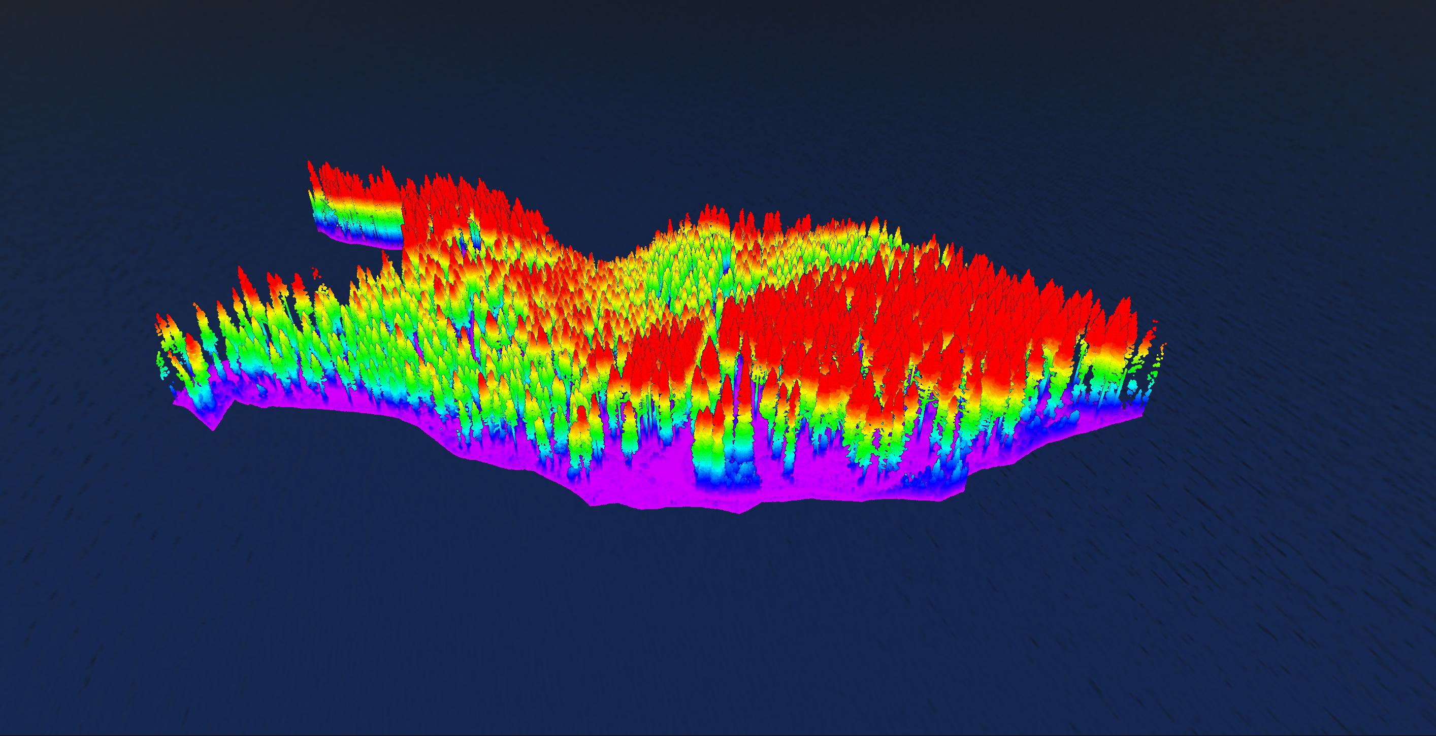 Canopy height model rainbow color gradient